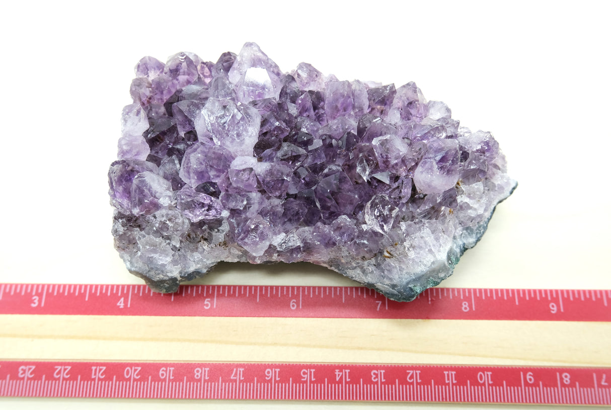Amethyst Crystal Cluster 104 | Standing Flat Base | 13 Ounces | Reiki Charged