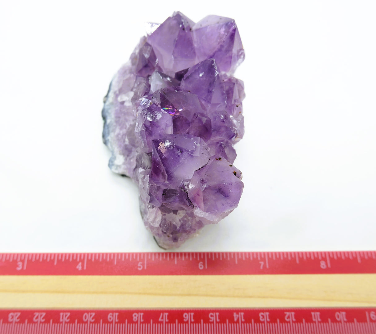Amethyst Natural Crystal Cluster 105 | Standing Flat Base | 12.5 Ounces | Reiki Charged