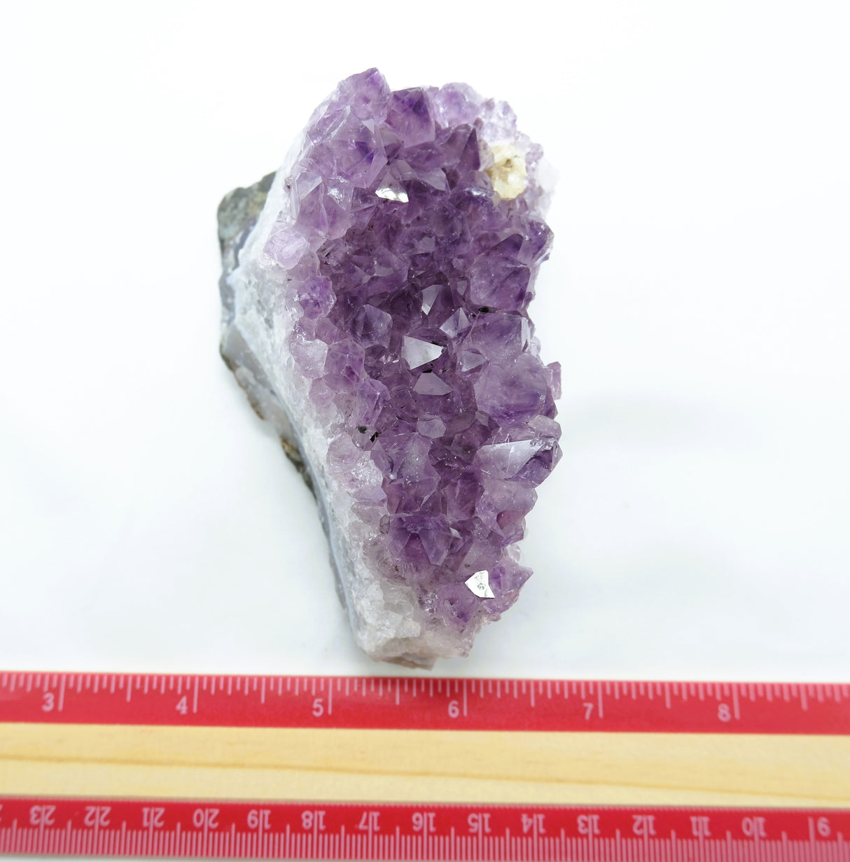 Amethyst Natural Crystal Cluster 106 | Standing Flat Base | 14 Ounces | Reiki Charged