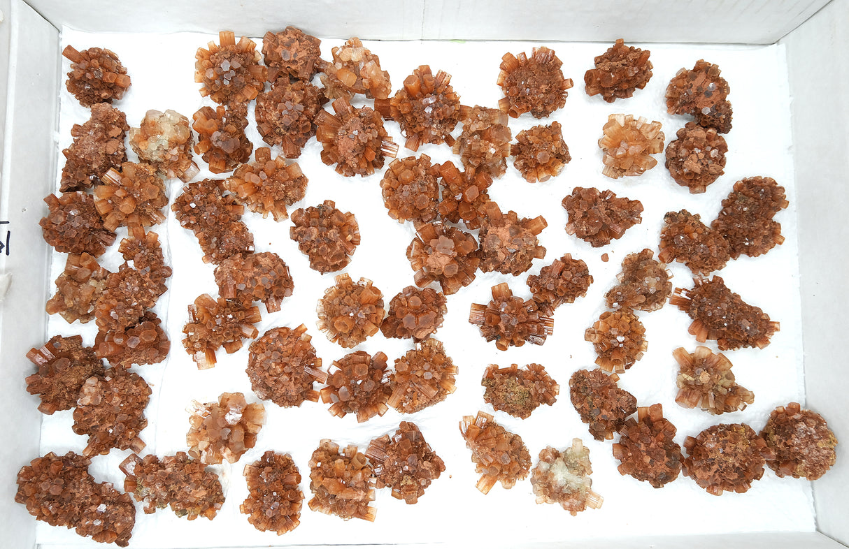 Raw Natural Aragonite Clusters From Morocco | 1 " to 2"