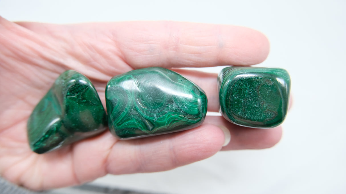 Natural Malachite Tumbled Stones .8 to 1.25