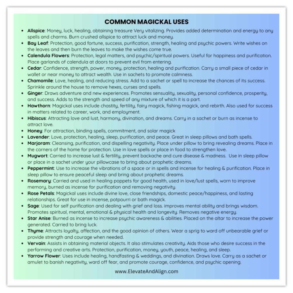 20 Piece Dried Herbs And Flowers Kit | Herbal Spell Kit | Potpourri Kit