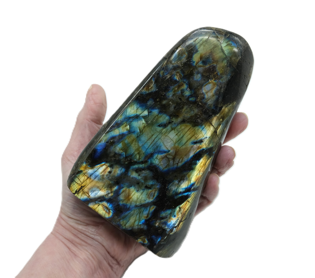 Large Polished Labradorite | 928 g | Standing Flat Base