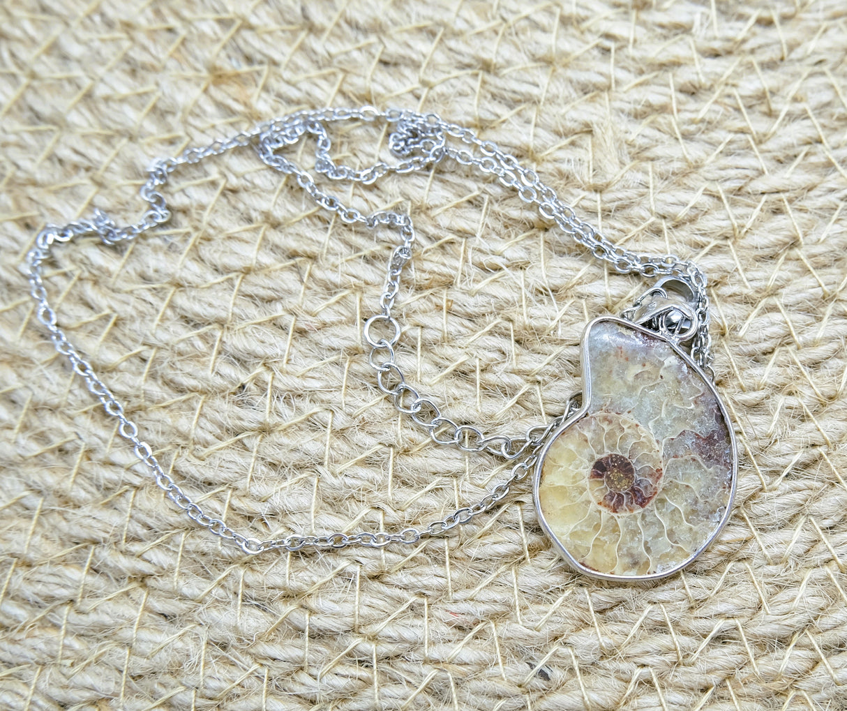 Ammonite Conch Fossil Pendant Necklace