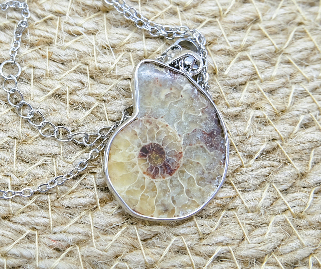 Ammonite Conch Fossil Pendant Necklace