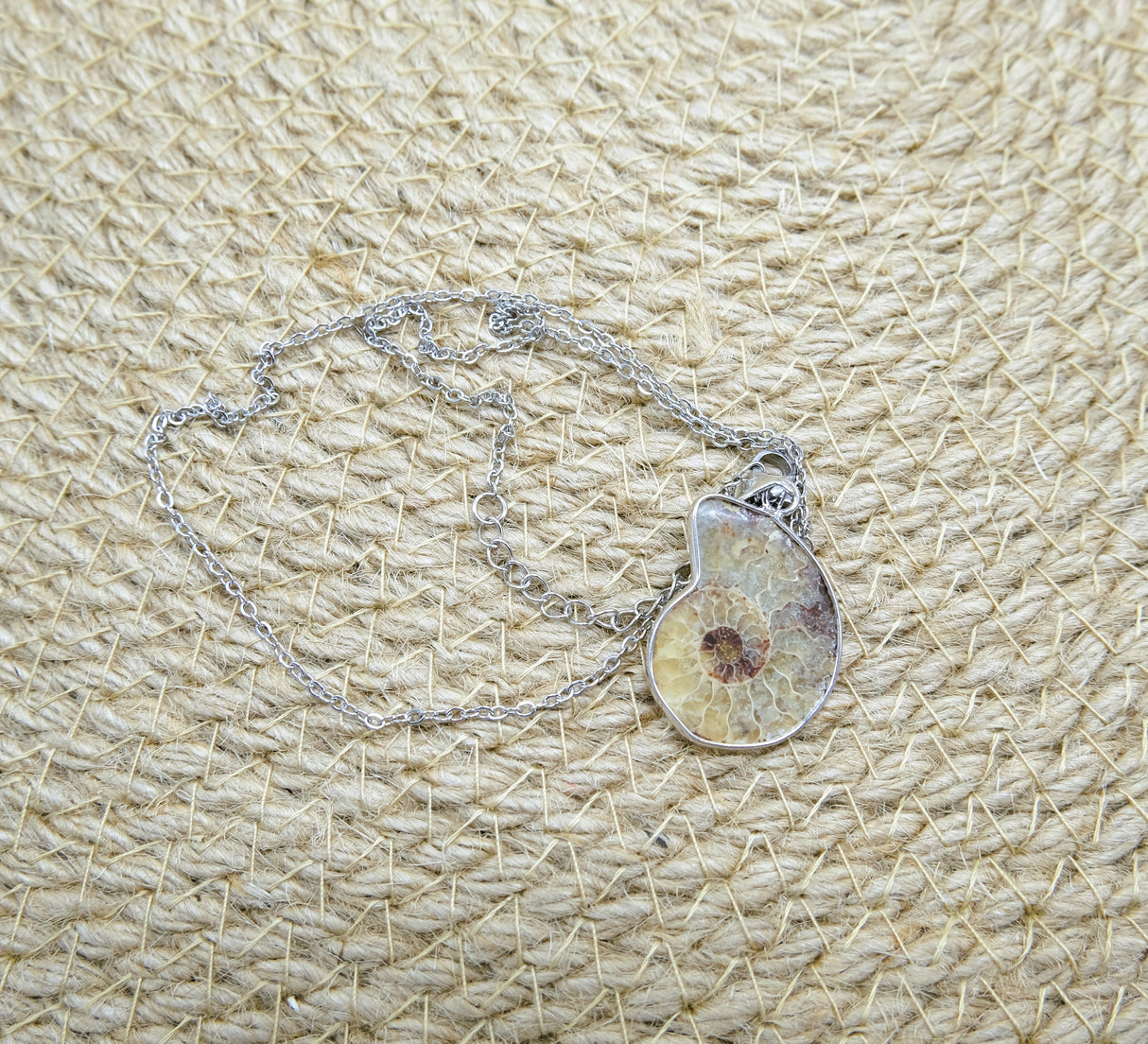 Ammonite Conch Fossil Pendant Necklace