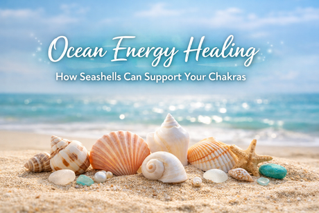 Ocean Energy Healing: How Seashells Can Support Your Chakras
