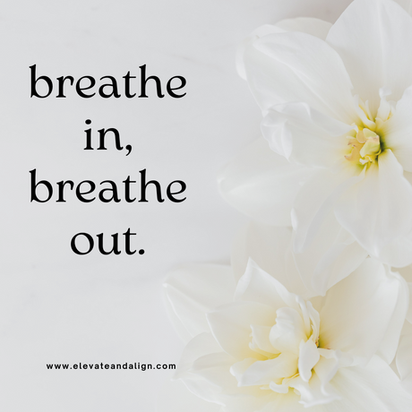 The Art of Breathing: How Reiki and Breathwork Harmonize Body and Mind