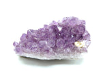 Amethyst Natural Crystal Cluster 106 | Standing Flat Base | 14 Ounces | Reiki Charged