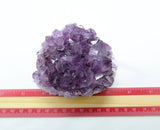 Amethyst Natural Crystal Cluster 107 | Standing Flat Base | 18 Ounces | Reiki Charged