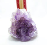 Amethyst Natural Crystal Cluster 111 | Standing Flat Base | 17.5 Ounces | Reiki Charged