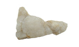 Raw White Agate Druzy Crystal Geode Clusters | Many Sizes