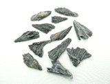 Black Kyanite Blades from Brazil - Several Sizes – Grounding, Clearing & Protection
