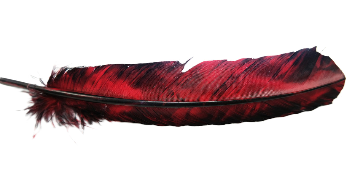 Black and Red or Black and Orange Feathers | For Crafts | Smudging Feathers