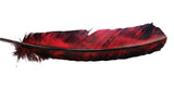 Black and Red or Black and Orange Feathers | For Crafts | Smudging Feathers