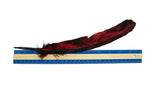 Black and Red or Black and Orange Feathers | For Crafts | Smudging Feathers