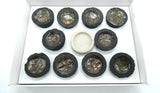 Hem Incense Resin Cups - Benzoin, Damar, 7 Powers, Pure House, And More