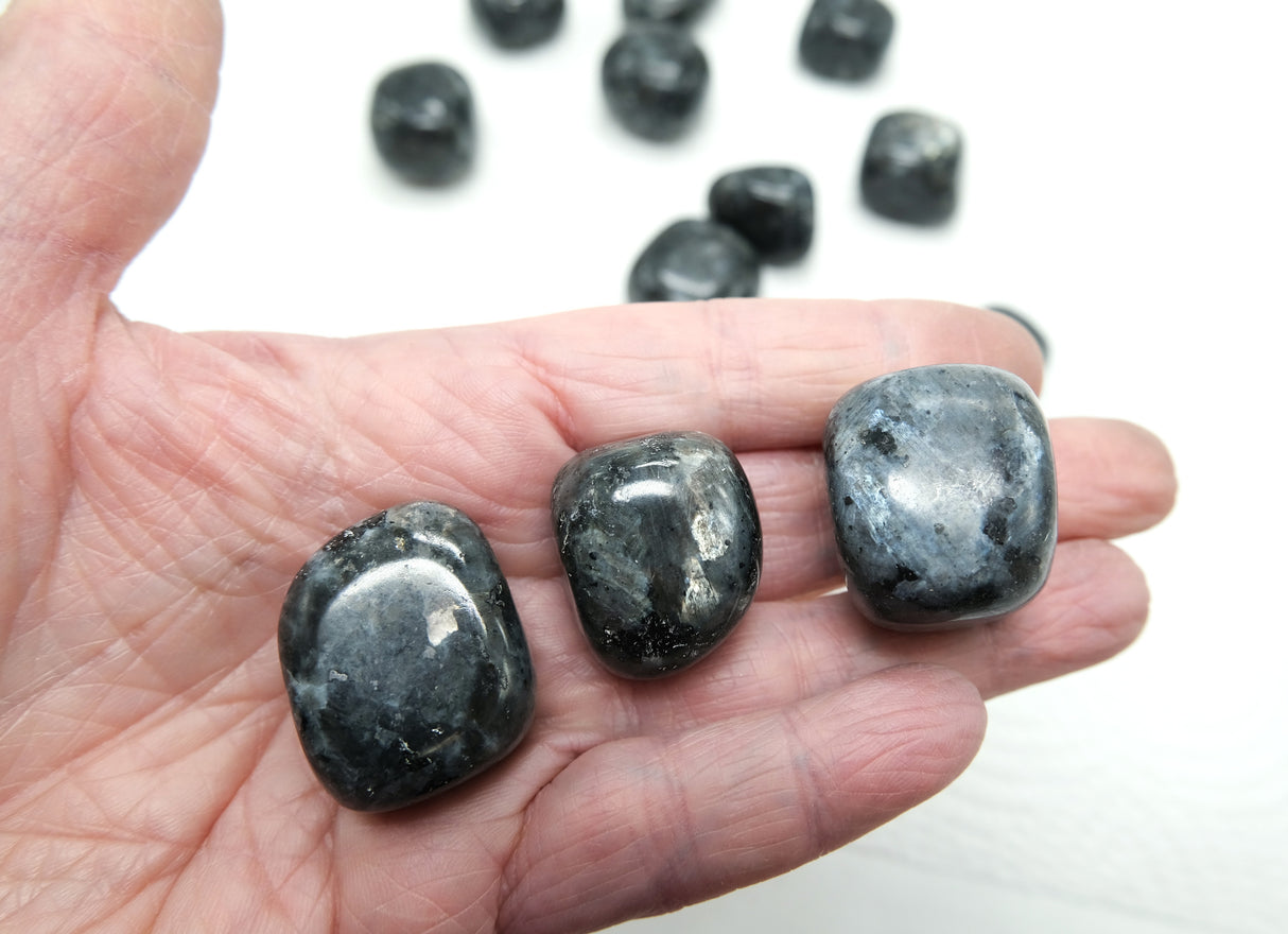 Larvikite Tumbled Stones 20 - 35 mm | Grounding • Protection • Intuition