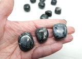 Larvikite Tumbled Stones 20 - 35 mm | Grounding • Protection • Intuition