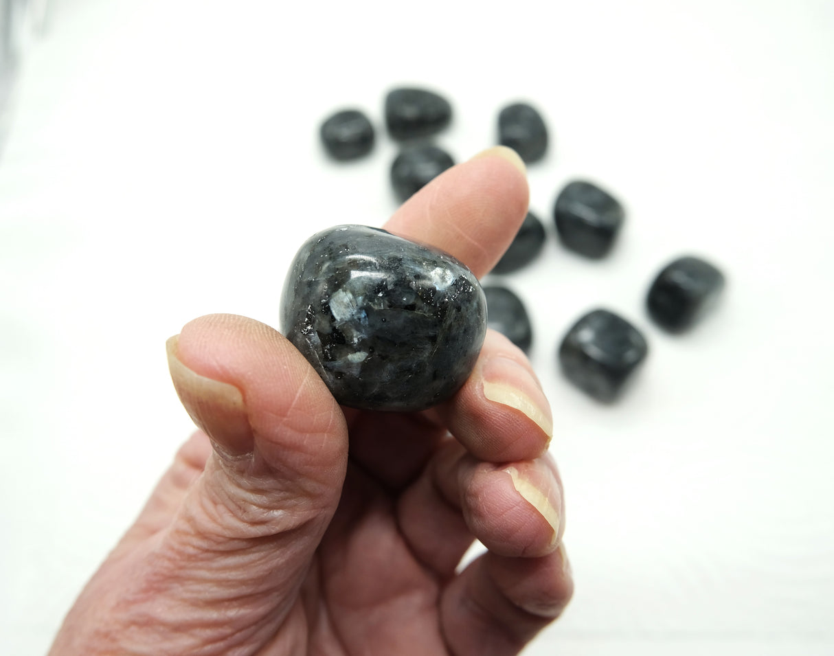 Larvikite Tumbled Stones 20 - 35 mm | Grounding • Protection • Intuition