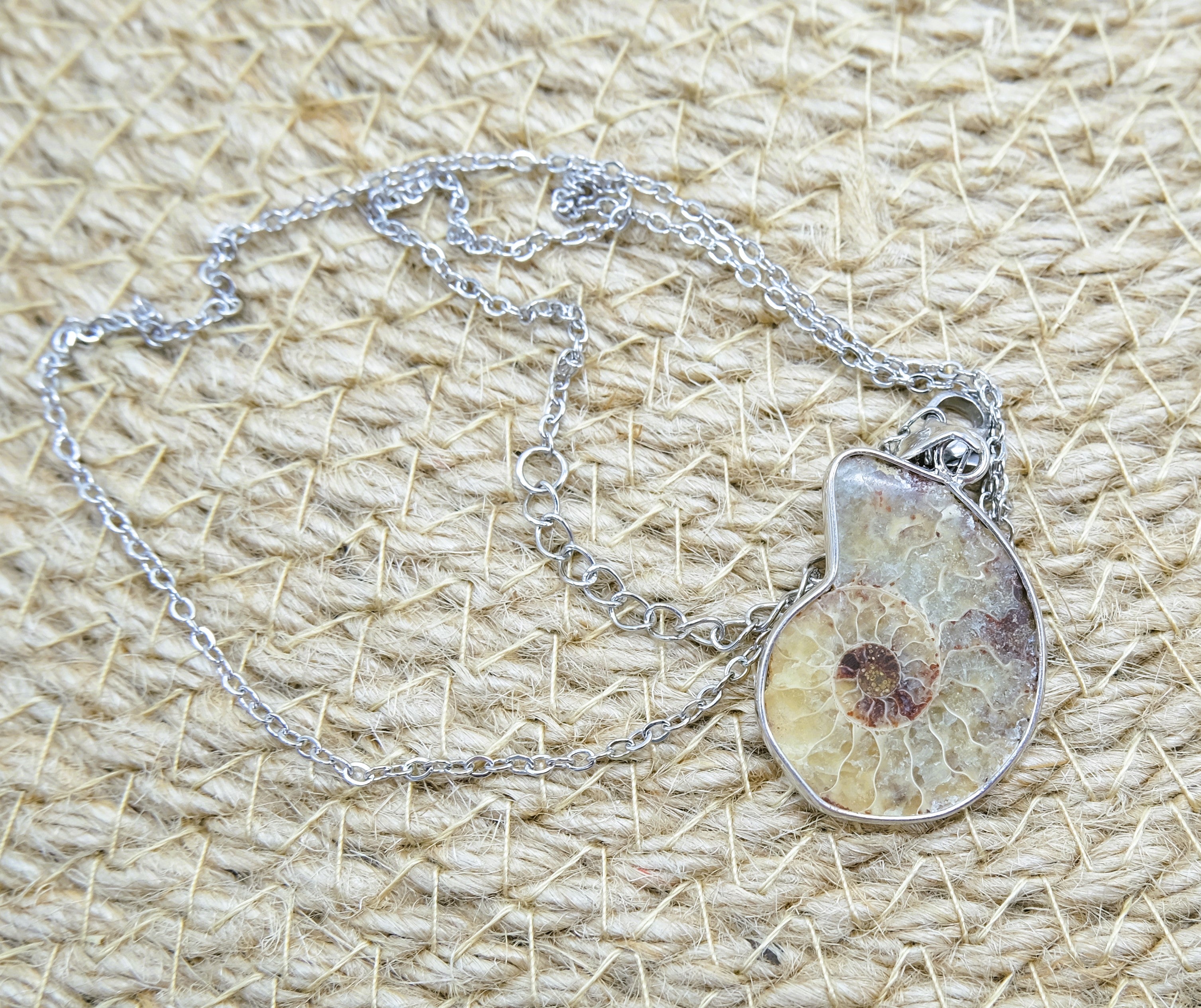 Ammonite Conch Fossil Pendant Necklace