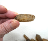 Natural Rough Citrine Bulk