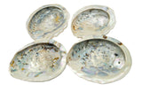 South African Abalone Shell Smudge Bowl | 4–5 Inch