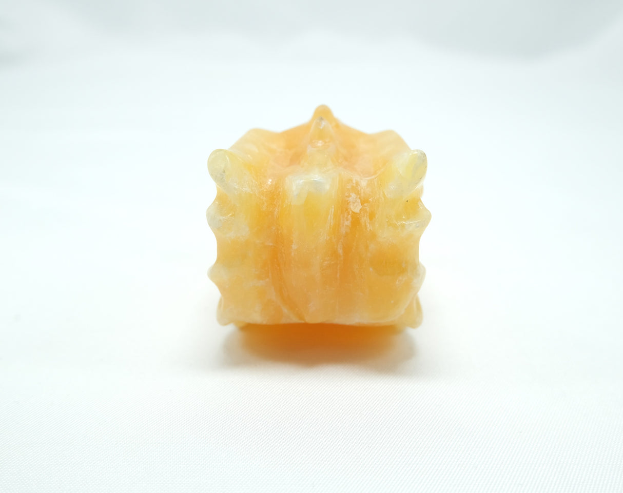 Calcite Dragon Head Skull | Crystal Dragon | 3 Inch
