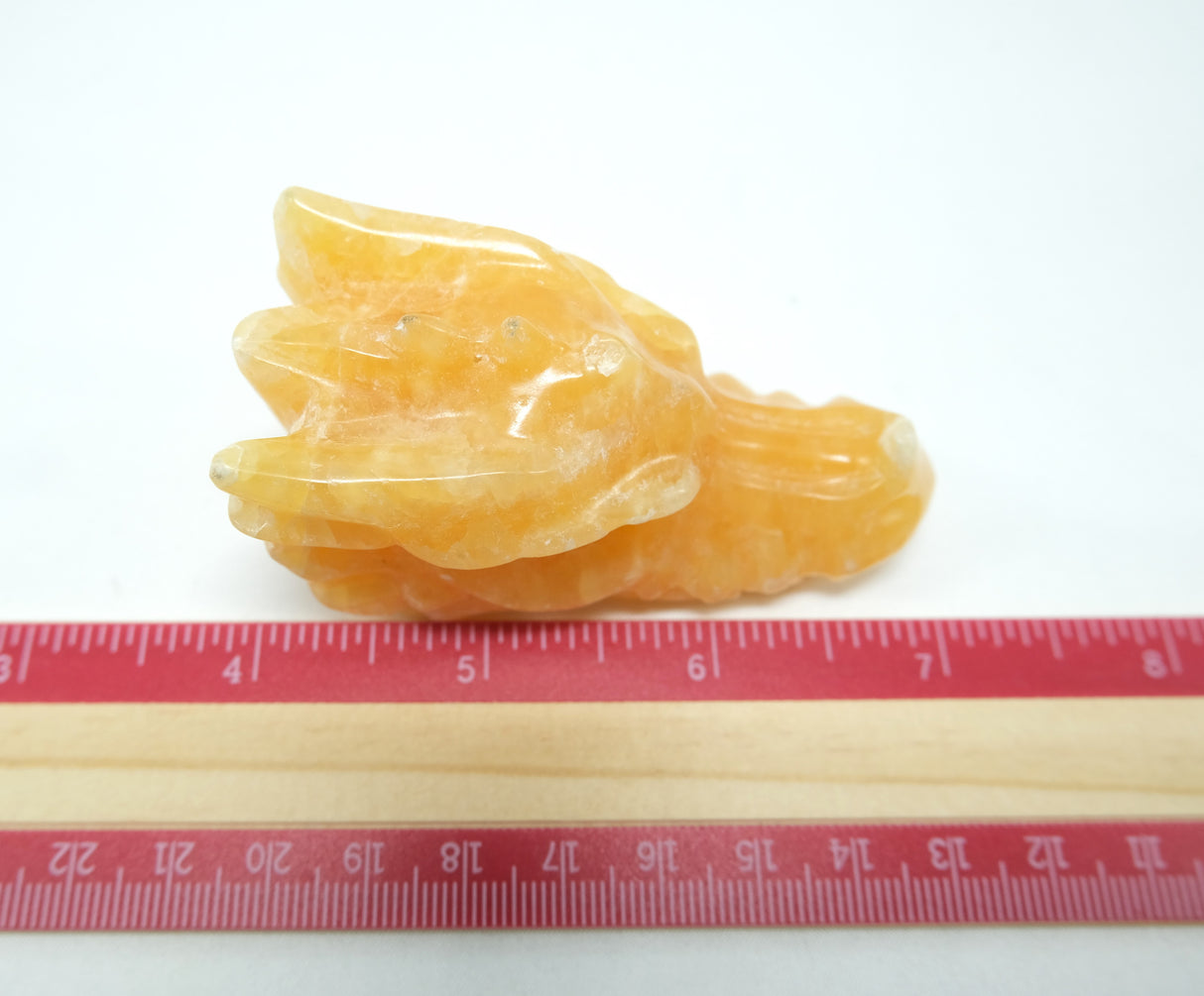 Calcite Dragon Head Skull | Crystal Dragon | 3 Inch