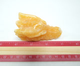Calcite Dragon Head Skull | Crystal Dragon | 3 Inch