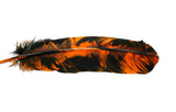 Black and Red or Black and Orange Feathers | For Crafts | Smudging Feathers