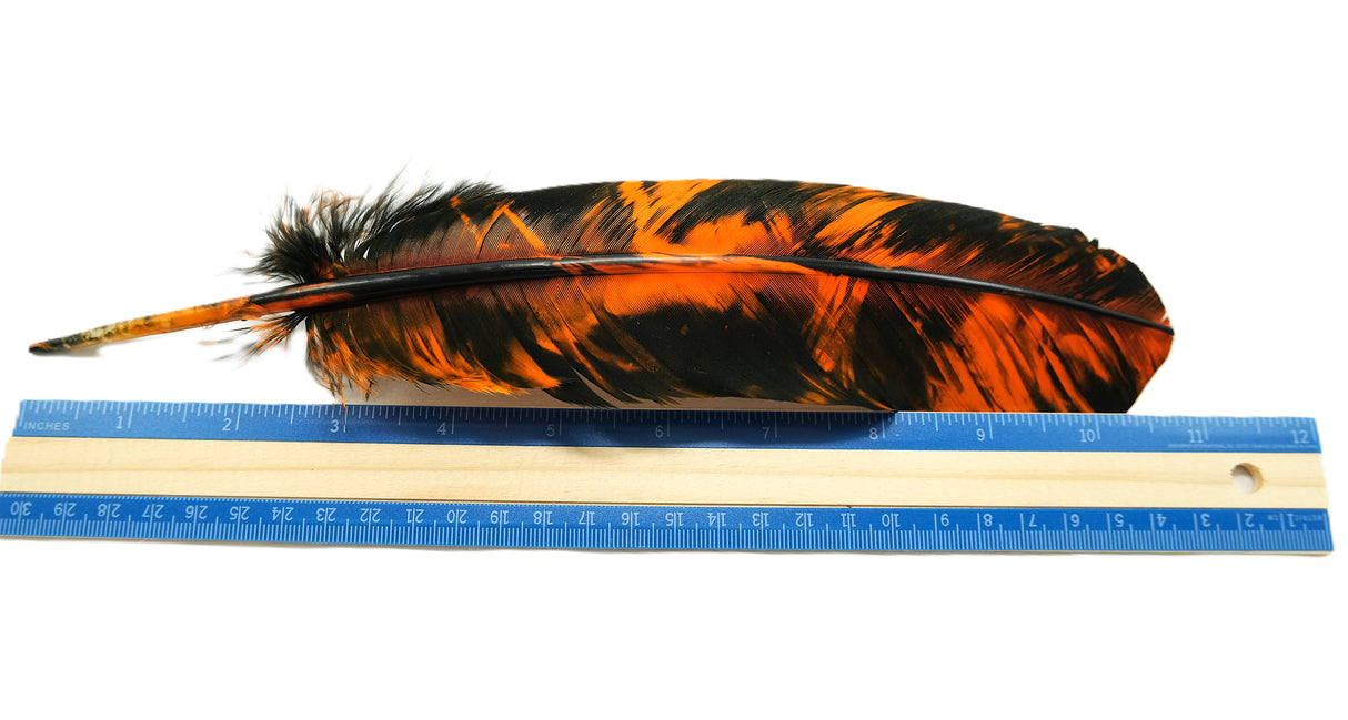 Black and Red or Black and Orange Feathers | For Crafts | Smudging Feathers
