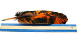 Black and Red or Black and Orange Feathers | For Crafts | Smudging Feathers