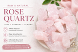 Raw Rose Quartz | 2 to 3 Pieces | Reiki Charged | Ethically Sourced