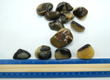 Septarian Tumbled Stones