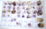 Spirit Quartz Specimen | Choose Your Exact Crystal | Cactus Quartz Cluster