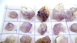 Spirit Quartz Specimen | Choose Your Exact Crystal | Cactus Quartz Cluster