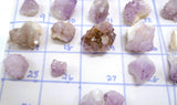 Spirit Quartz Specimen | Choose Your Exact Crystal | Cactus Quartz Cluster
