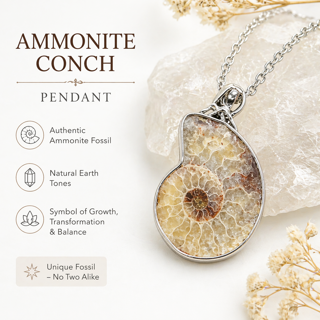 Ammonite Conch Fossil Pendant Necklace