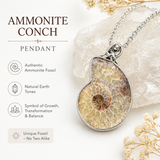 Ammonite Conch Fossil Pendant Necklace